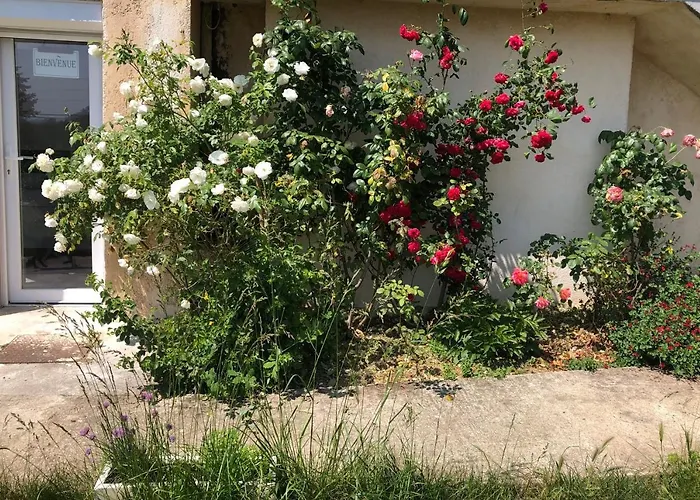 Le Jardin Suspendu