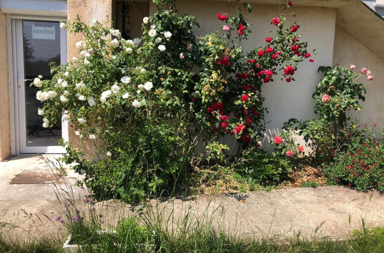 Le Jardin Suspendu Appartement