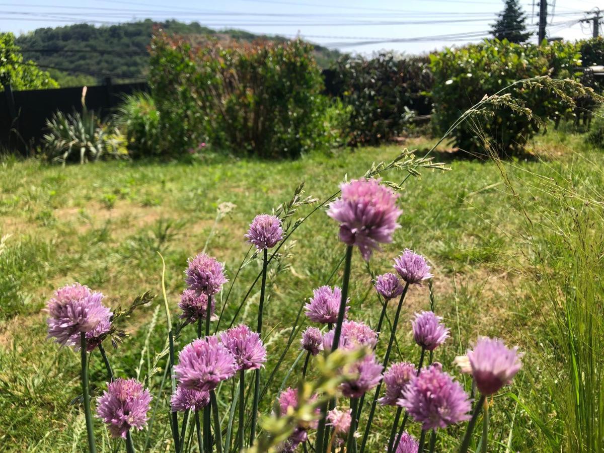 Appartement Le Jardin Suspendu *